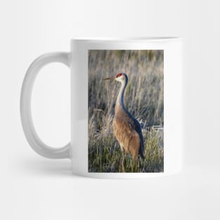 Sunset Sandhill Crane Mug
